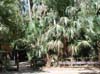 ELSEY NATIONAL PARK